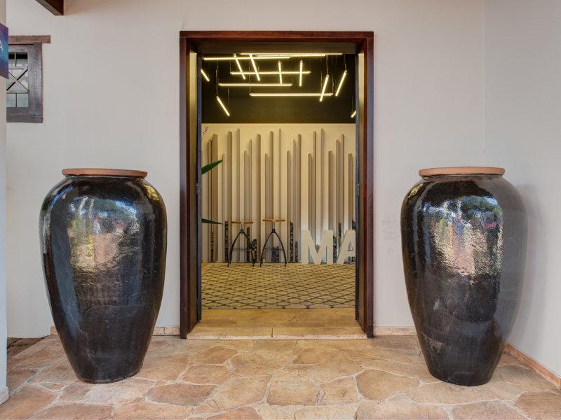 Organne amplia seu leque de Vasos Vietnamitas